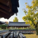 명지각 동관 | 남원 숙소 명지각 운 숙박 후기 내돈내산