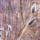 오늘의 하루 이미지