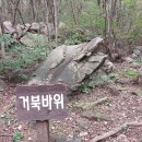 ♡2023~10~03경남 영남알프스 종주 산악회 정기 산행 공룡능선 신불산 영축산 간월재 간월산 날머리 간월재 주차장 ^~^♡♡♡ 이미지