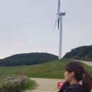 카프닉