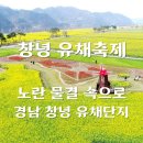 축제의 물결 이미지