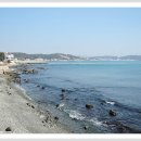 갈두농장 | [스크랩] ＜해파랑길4코스(문동마을~송정항)걷기여행＞길동무프로그램 후기