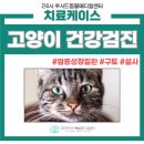 당고개동물병원 이미지