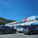 매천초등 | 대구 매천시장 매천수산시장 영업시간 꽃게 홍게 대게 가격 시세