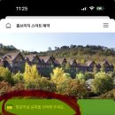 홈브리지 캐빈호스텔 이미지