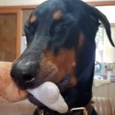 아카데미당구장 이미지