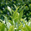 서울신상도초등학교 이미지