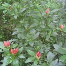 서당공원 화장실 이미지