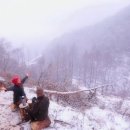 아라한