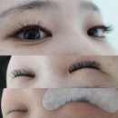선뷰티라인