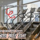 여성전용 포레스트짐 헬스&PT 주엽점 네이버블로그