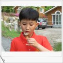 문성자연휴양림 이미지