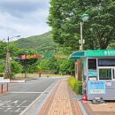 고산자연휴양림 캠핑장 입구 이미지