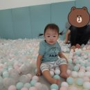 스트란트(THE STRAND) 이미지