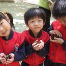 소정몬테소리어린이집 이미지