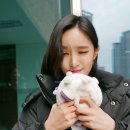 향일고등학교 이미지