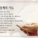 2020년 7월 23일 목요일 연중 제16주간 목요일 매일미사 - 김영식 루카 신부 이미지