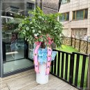 환해지개 이미지