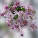 사진과포토샵 이미지