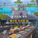THE BON(더 본) | 괌 리조트 추천 웨스틴 리조트 괌 클럽룸 오션뷰 수영장 조식 라운지 할인 예약