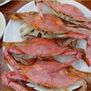 가락횟집 이미지