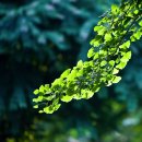 햇살좋은 이미지