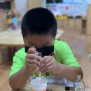 직산초등학교 병설유치원 | 천안 아산 캔들 공방 직산 초등학교 병설유치원 단체수업, 디퓨저 만들기