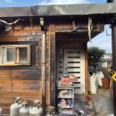 진도엘피지 이미지