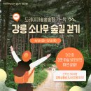 "여행이 최고의 자원봉사"..'강릉아리바우길 걷기 여행'으로 산불 피해 지원 동참하세요! 이미지