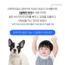 동물의 왕국' '2021. 10. 31 이미지