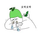 헤이즐릿