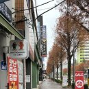 골드바 | 광주 서울보석 조카 금반지 선물 골드바 구매 후기