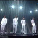 비플리