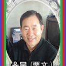 꿈꾸는강 이미지