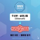 프라임정약국 | 팔팔정 처방 및 효능 부작용 가격 지속시간 총정리