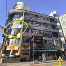 2호선 동백역 | 해운대 벚꽃 나들이 필수 코스! 마리나 브런치 카페 비채 방문후기