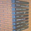 네일러뷰 | 망우역네일 리메네일왁싱 패디큐어 후기 색감 완벽