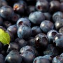 아미푸드 이미지