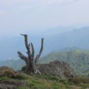 해성고등학교 이미지