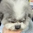 더베스트헤어 | [광주-Wedding] 광고없는 솔직 후기 2026 광주 웨딩박람회, 더베스트 엘로이