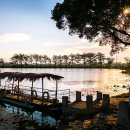 미식&포토스팟 코스 이미지