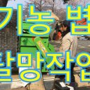 남원종자 이미지