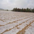 무릉1리 마을회관 이미지