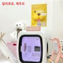 달리포유 이미지