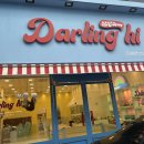 달링하이 강아지분양 창원점 이미지