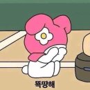 비바코리아 이미지