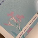 올리앤&나무 이미지