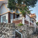 사라보래 이미지