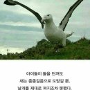 알바트로스 - 사상구 삼덕로74번길 28-2 | 알바트로스