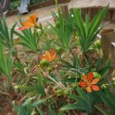 구름산산림욕장 이미지